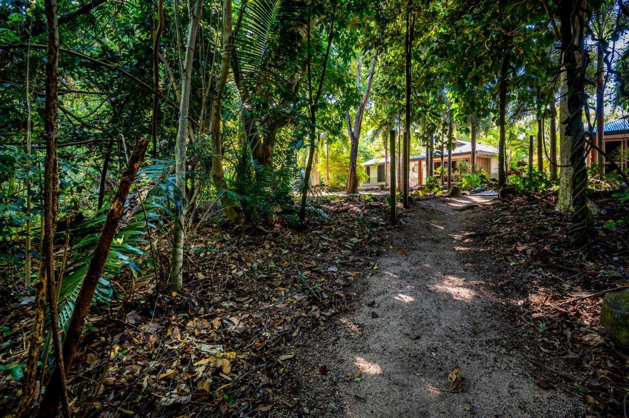 Eco Village Mission Beach Exteriör bild